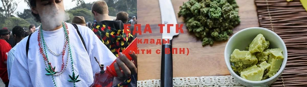стаф Вяземский