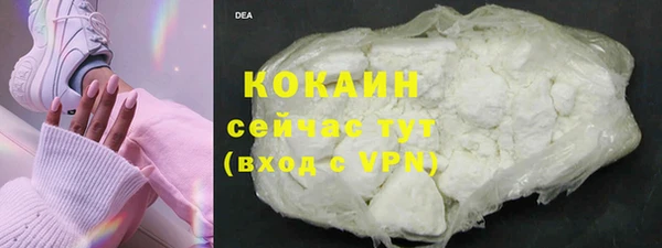стаф Вяземский