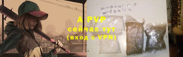 стаф Вяземский