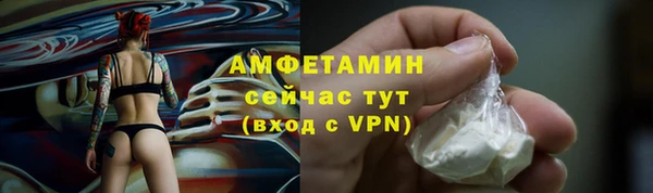 стаф Вяземский