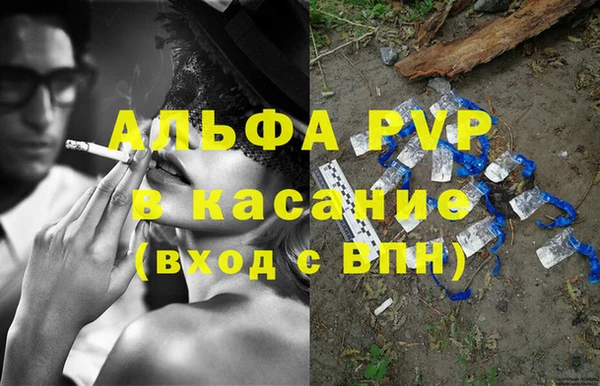 стаф Вяземский