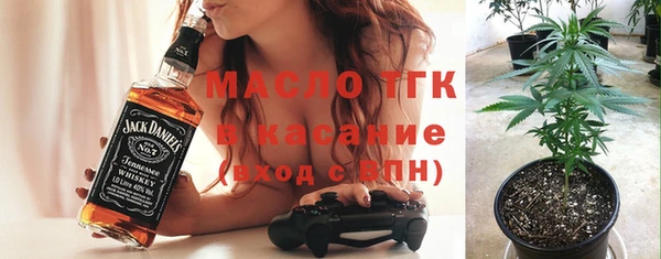 стаф Вяземский