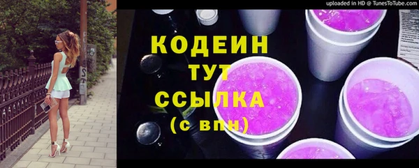 стаф Вяземский