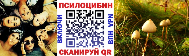 Псилоцибиновые грибы Magic Shrooms  Вологда 